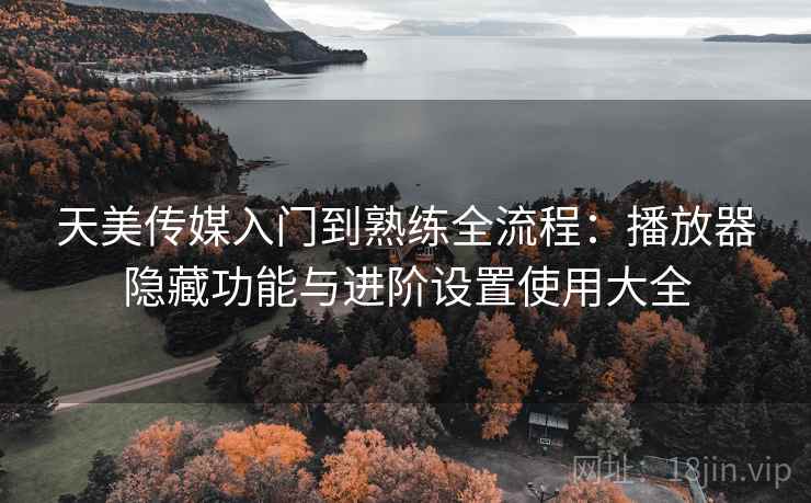 天美传媒入门到熟练全流程：播放器隐藏功能与进阶设置使用大全