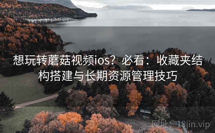 想玩转蘑菇视频ios？必看：收藏夹结构搭建与长期资源管理技巧