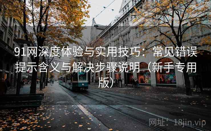 91网深度体验与实用技巧:常见错误提示含义与解决步骤说明(新手专用版) 91网深度体验与实用技巧:常见错误提示含义与解决步骤说明(新手专用版)