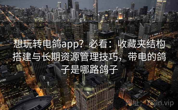 想玩转电鸽app?必看:收藏夹结构搭建与长期资源管理技巧,带电的鸽子是哪路鸽子 想玩转电鸽app?必看:收藏夹结构搭建与长期资源管理技巧,带电的鸽子是哪路鸽子